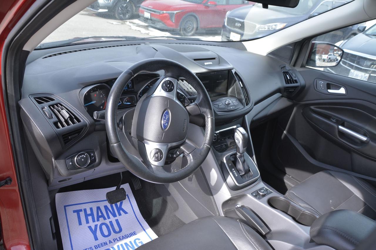 2014 Ford Escape  Photo