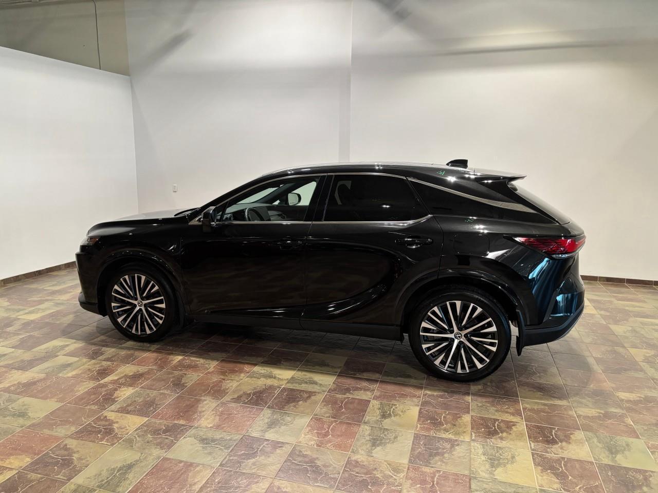 2023 Lexus RX 350  Photo