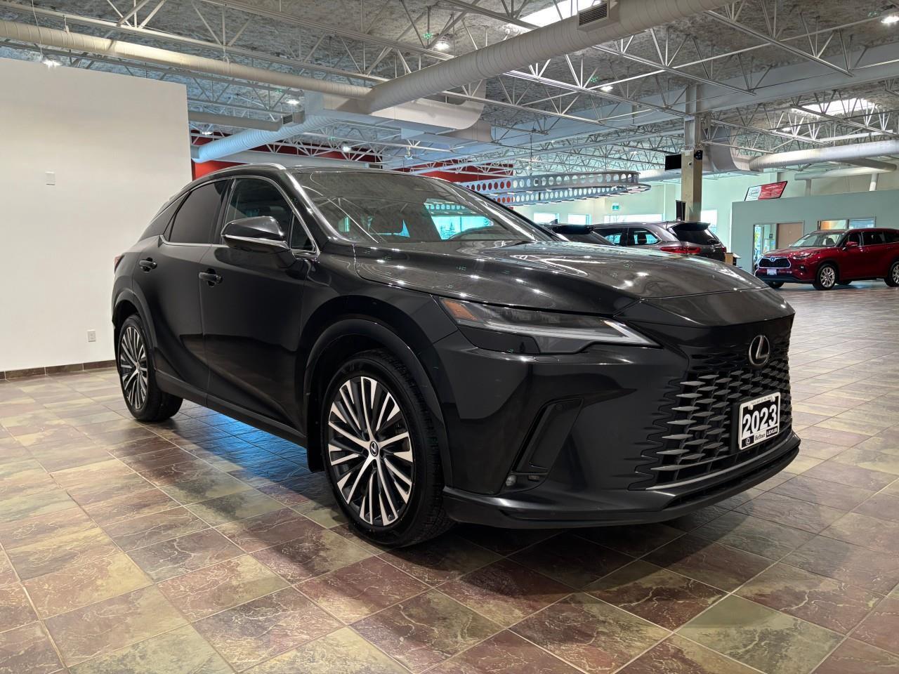 2023 Lexus RX 350  Photo