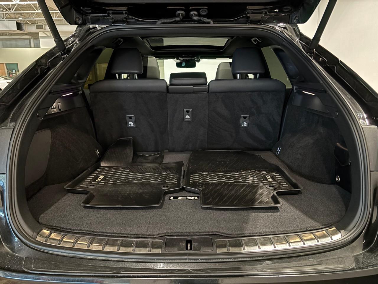 2023 Lexus RX 350  Photo