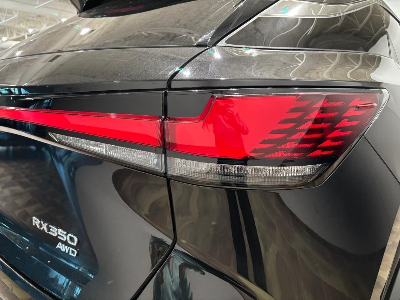 2023 Lexus RX 350  Photo