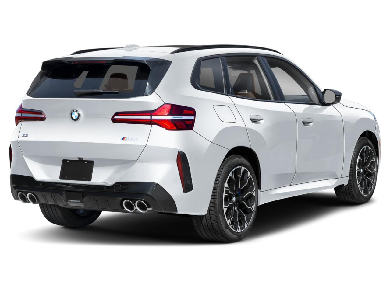 2026 BMW X3 Sports Activity Vehicle [73GP] Photo
