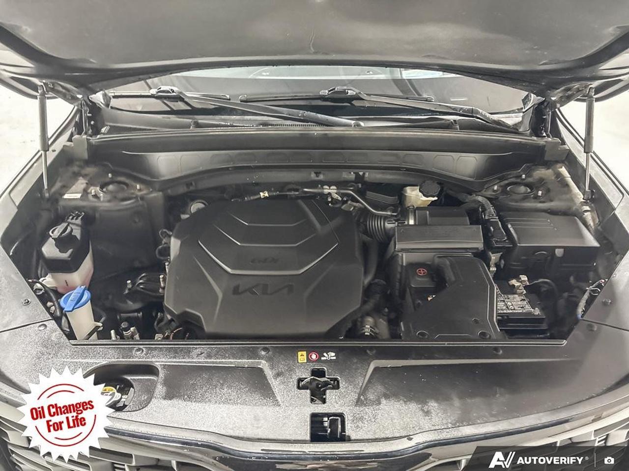 2022 Kia Telluride  Photo