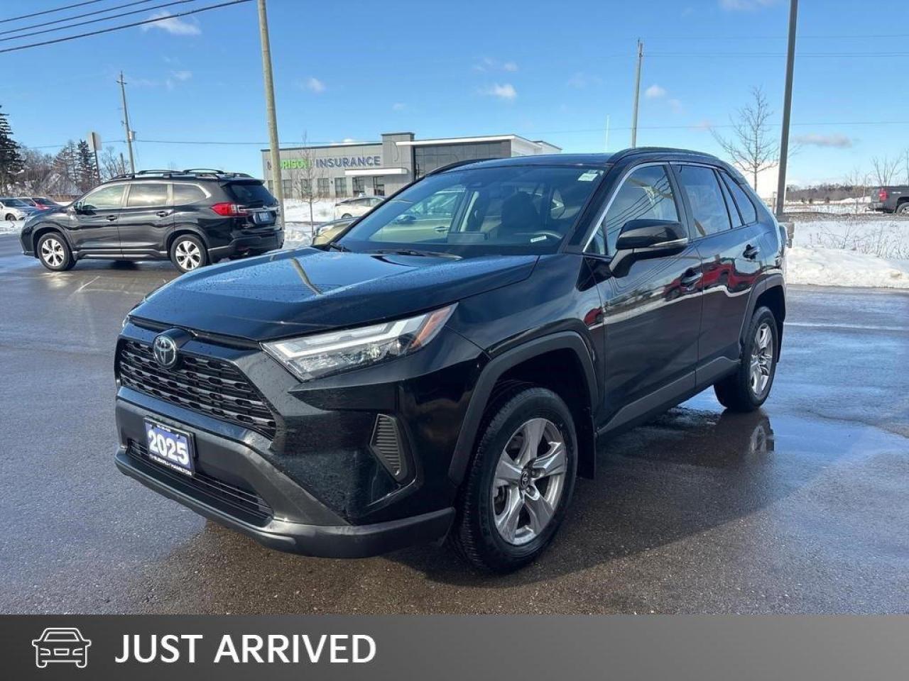 2025 Toyota RAV4 XLE 4dr All-wheel Drive Photo