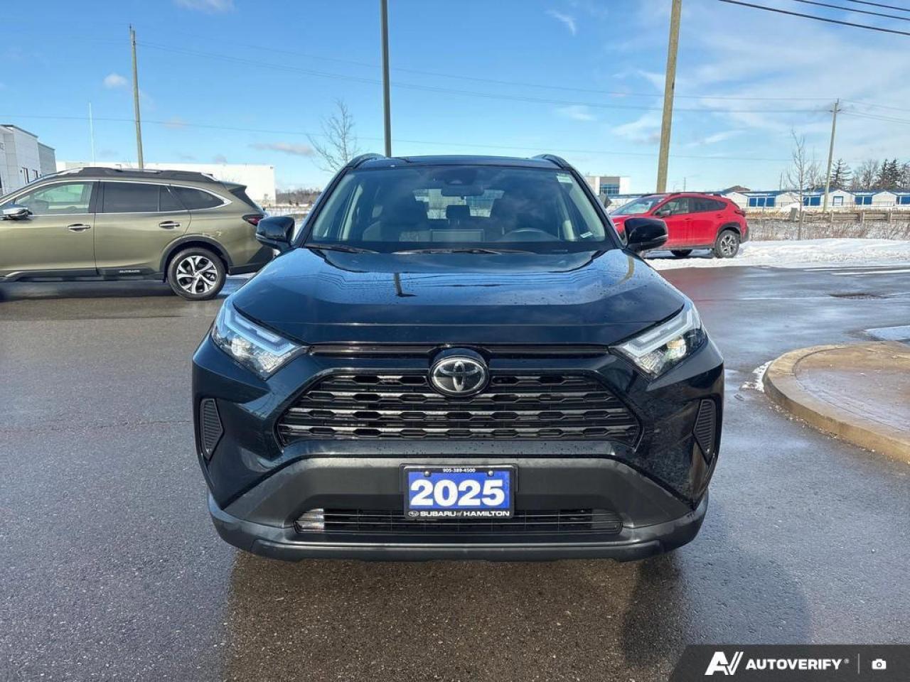 2025 Toyota RAV4 XLE 4dr All-wheel Drive Photo