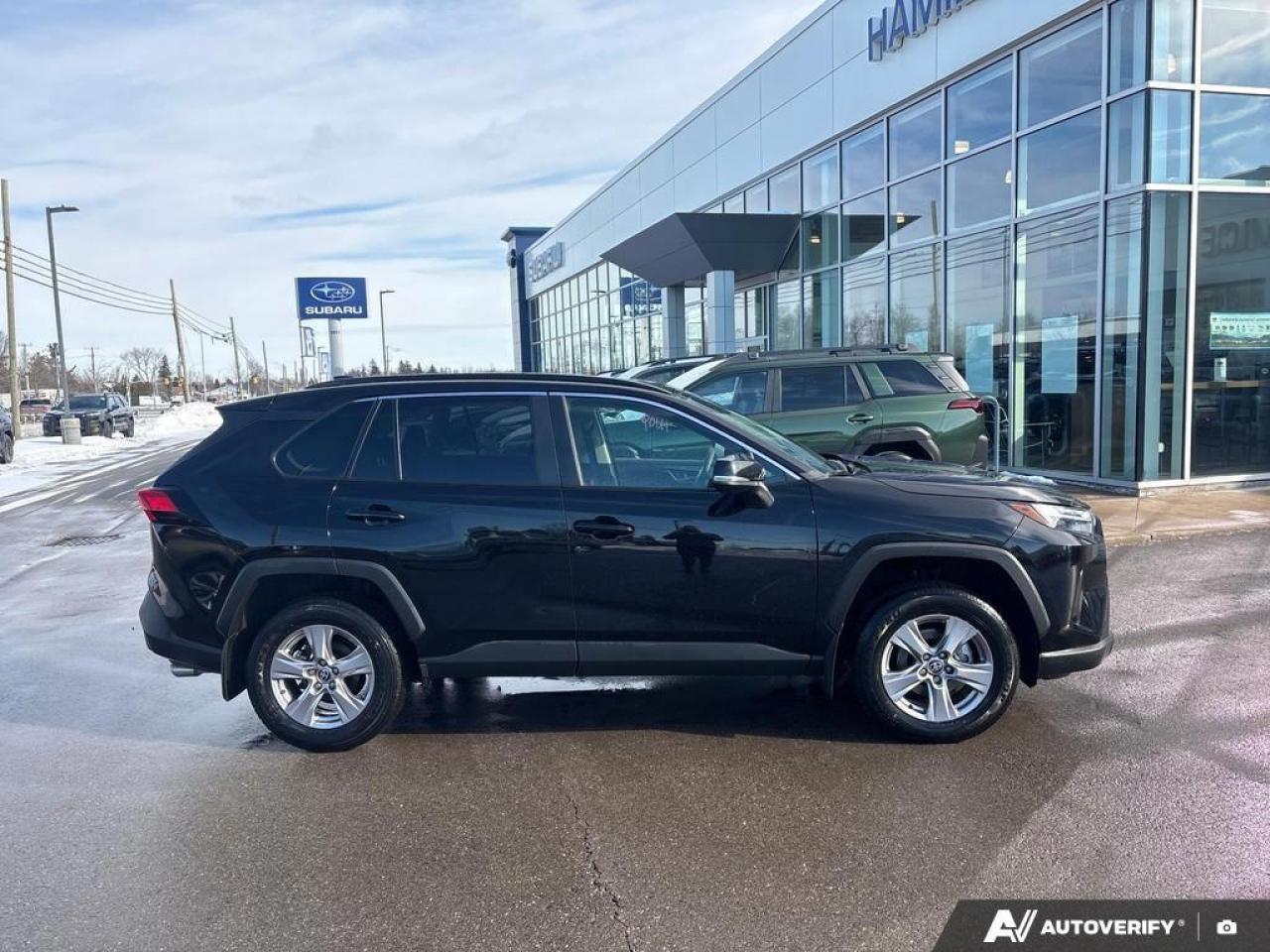 2025 Toyota RAV4 XLE 4dr All-wheel Drive Photo