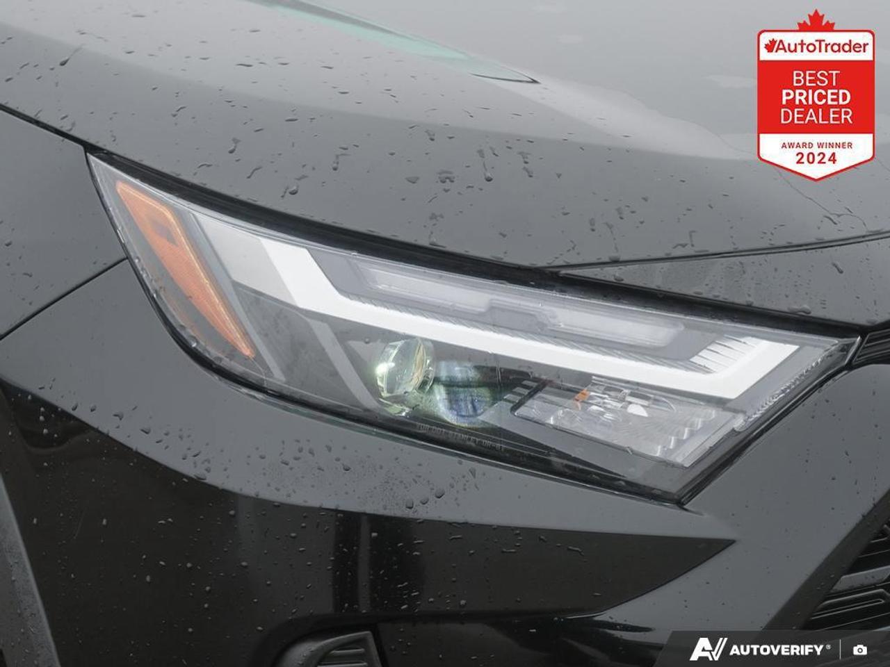 2025 Toyota RAV4 XLE 4dr All-wheel Drive Photo