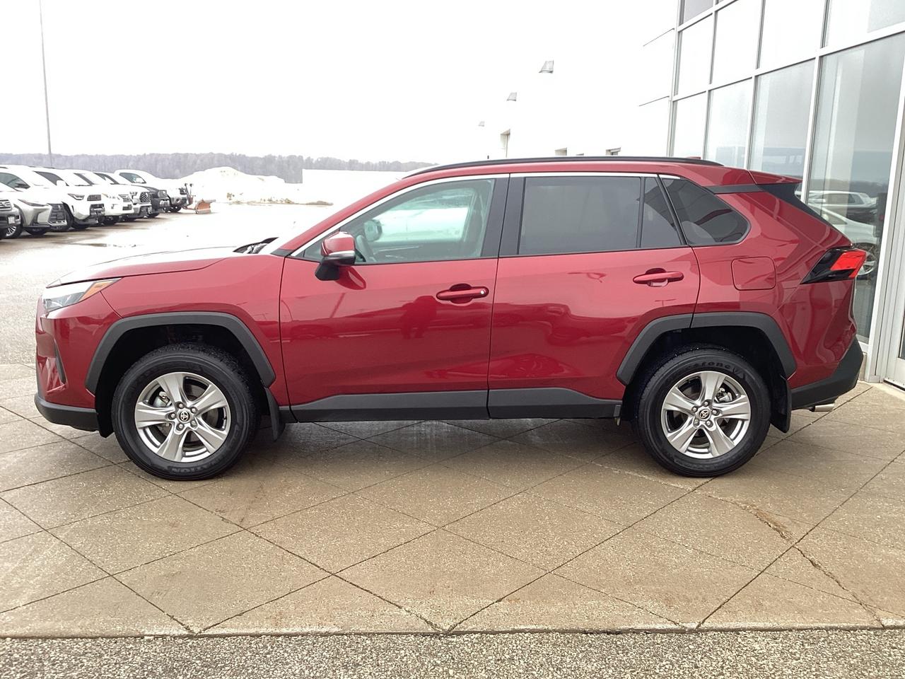 2024 Toyota RAV4 XLE AWD Photo