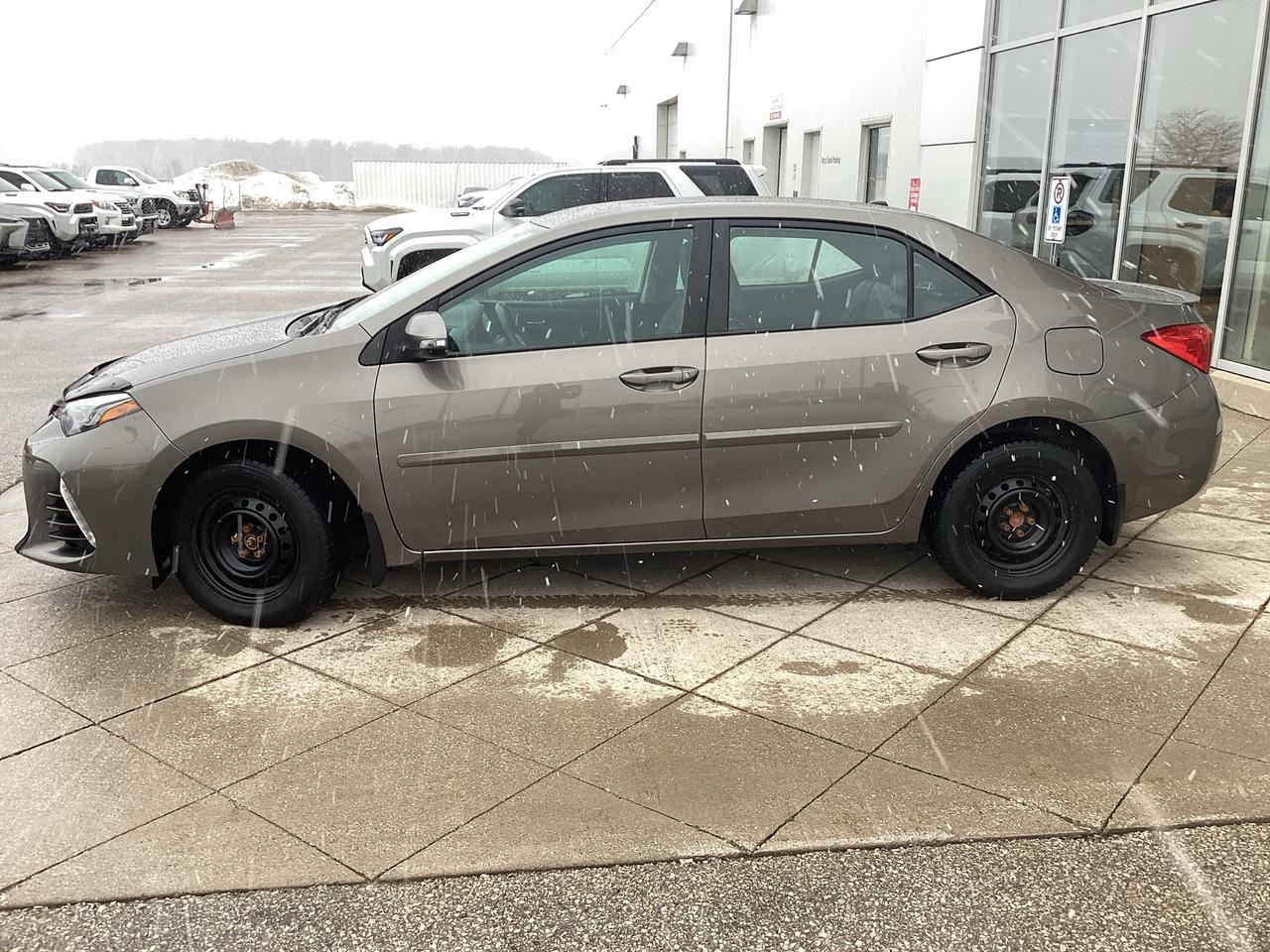 2019 Toyota Corolla XSE Photo