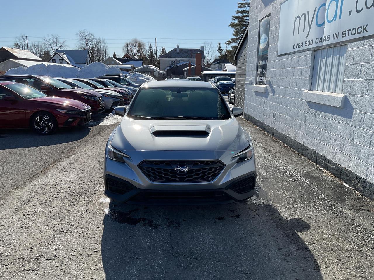 2023 Subaru WRX Base (M6) 4dr All-Wheel Drive Sedan Photo