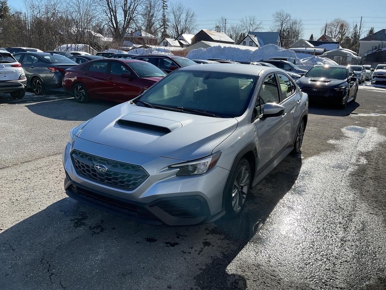 2023 Subaru WRX Base (M6) 4dr All-Wheel Drive Sedan Photo