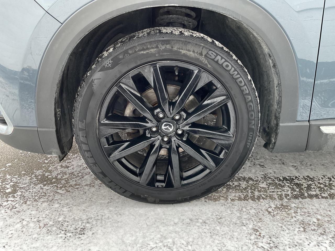 2022 Mazda CX-9  Photo