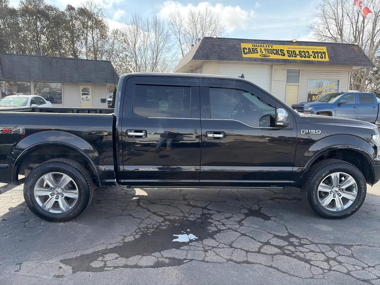 2018 Ford F-150 PLATINUM-3.5L-DOUBLE ROOF-FULLY LOADED Photo