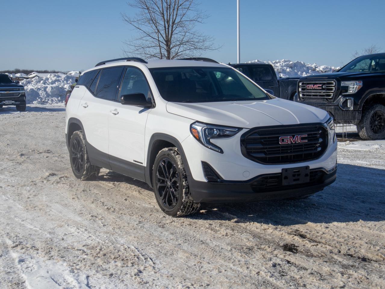 2021 GMC Terrain AWD 4DR SLE Photo