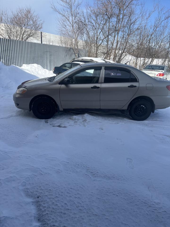 2004 Toyota Corolla 4dr Sdn CE Auto ac power windows,locks Photo