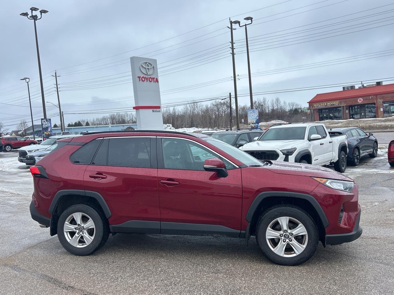 2020 Toyota RAV4 XLE Photo