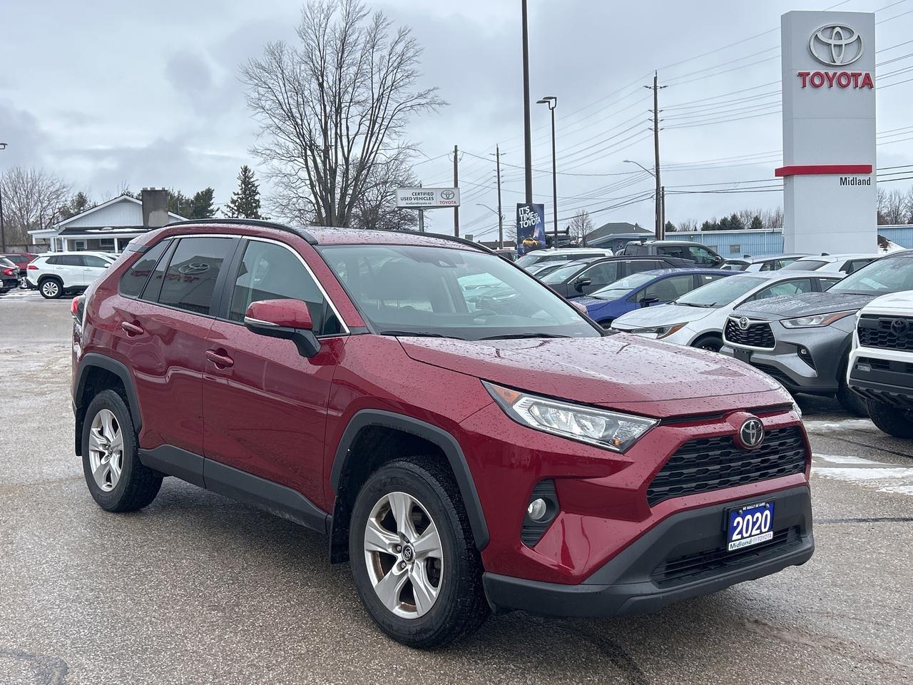 2020 Toyota RAV4 XLE Photo