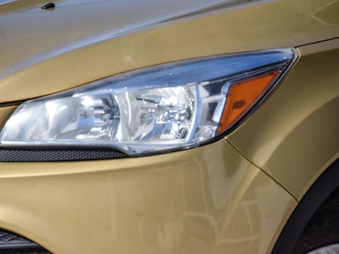 2014 Ford Escape SE Photo