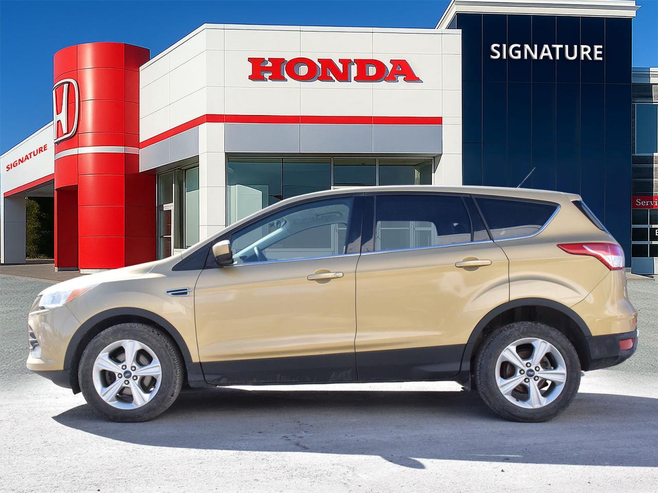 2014 Ford Escape SE Photo