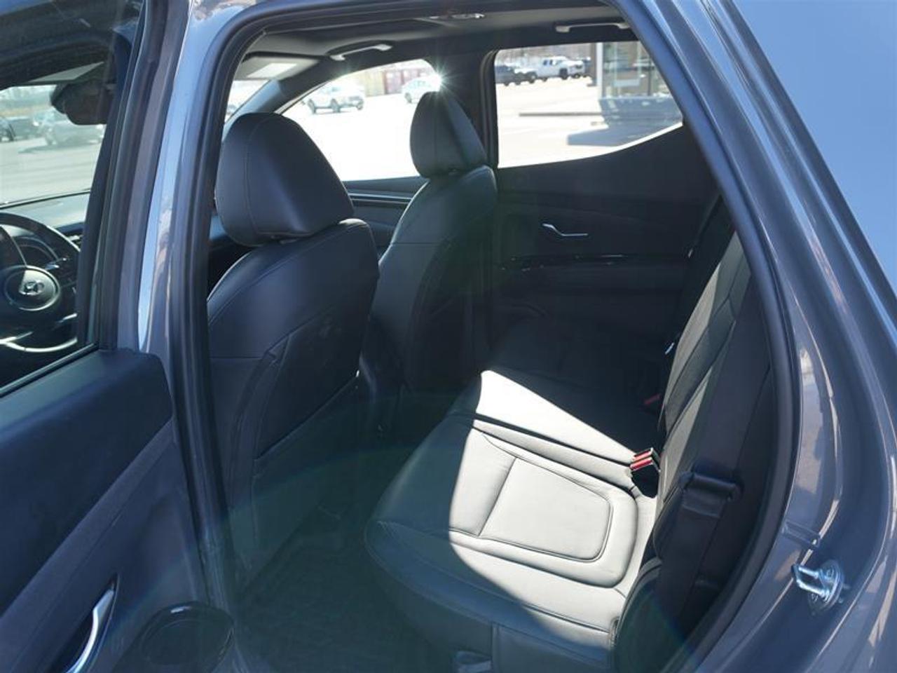 2024 Hyundai Santa Cruz Trend AWD Photo