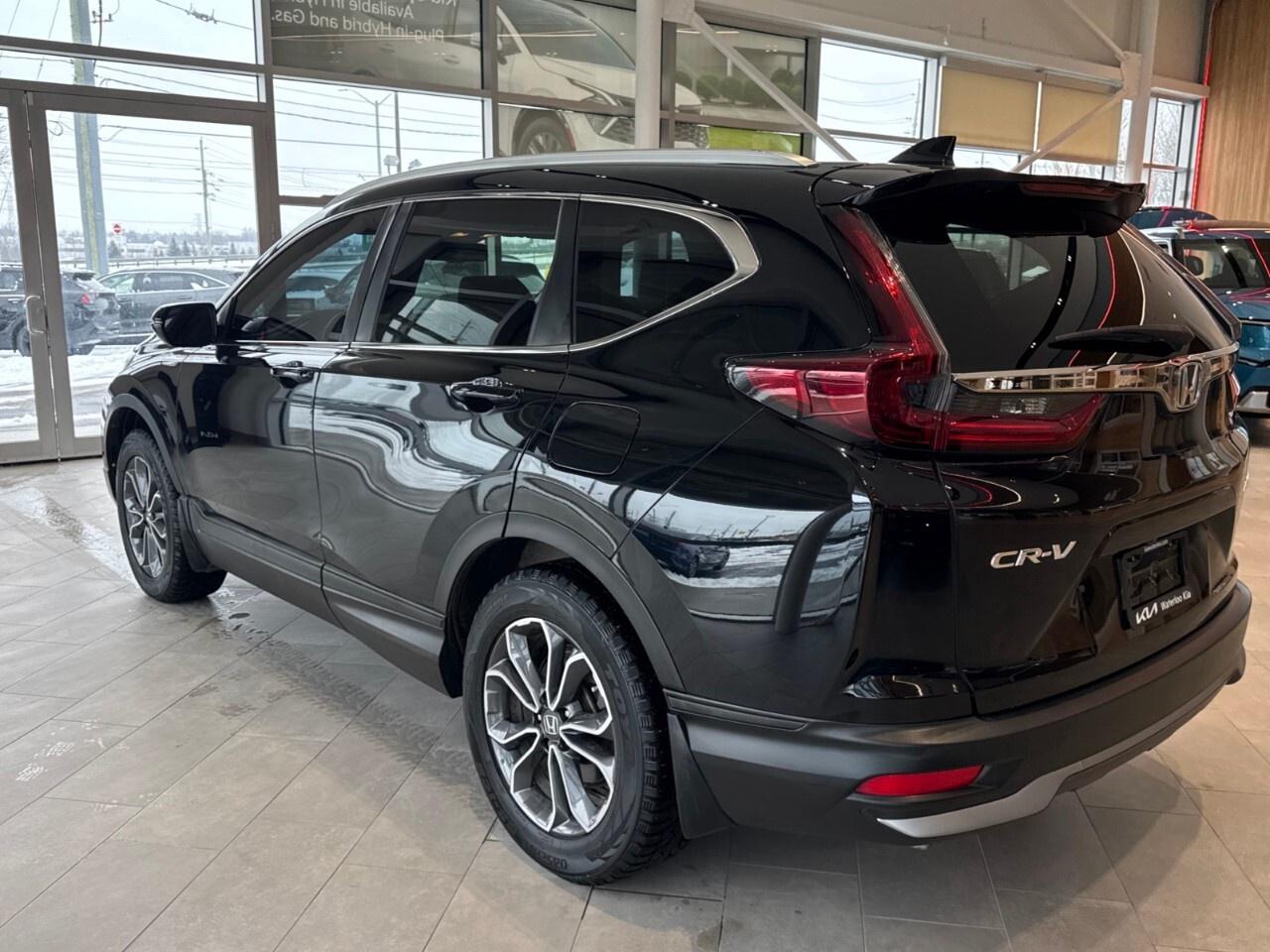 2020 Honda CR-V EX-L AWD Photo