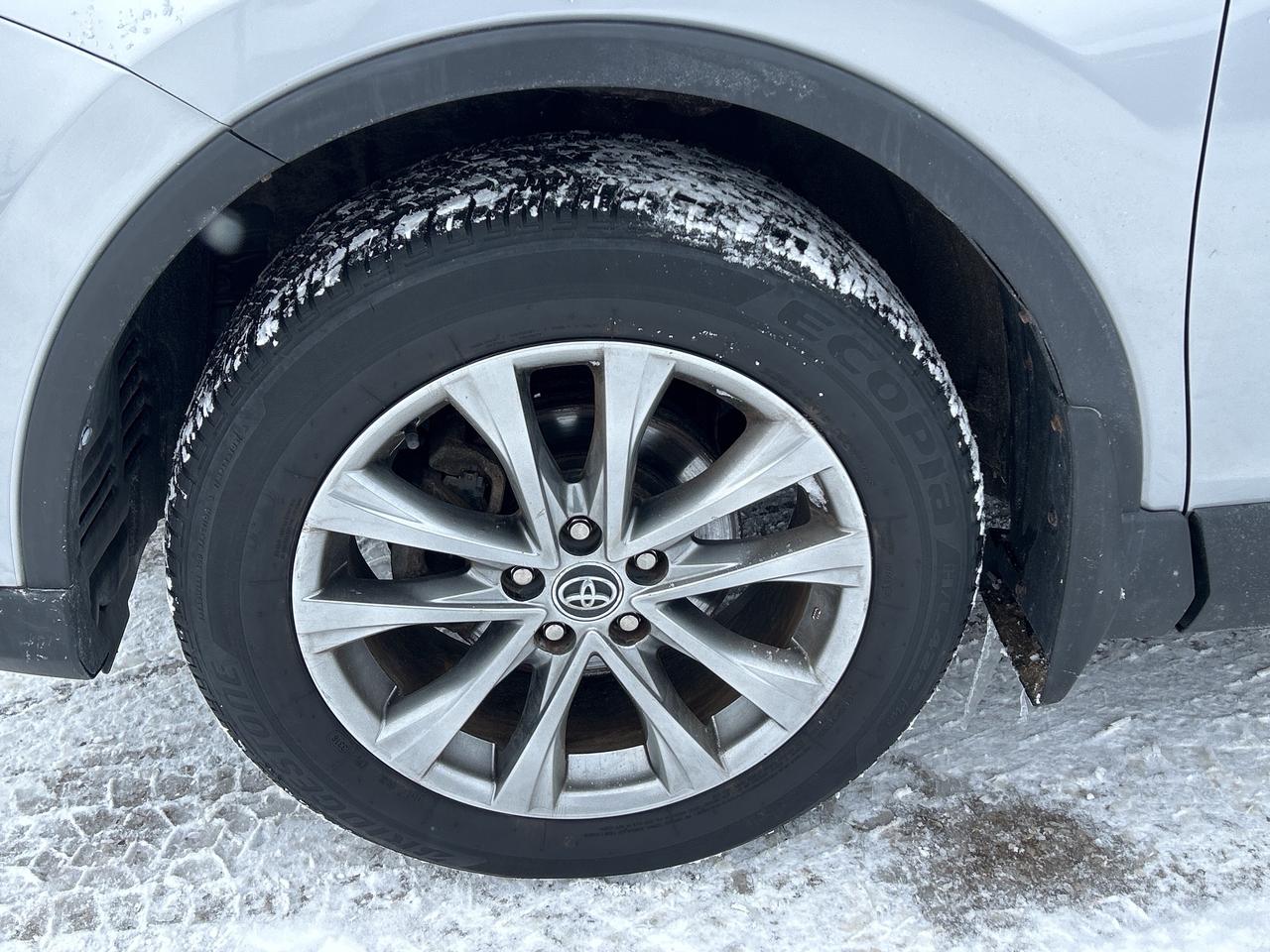 2017 Toyota RAV4 Limited AWD   JBL Audio System Photo