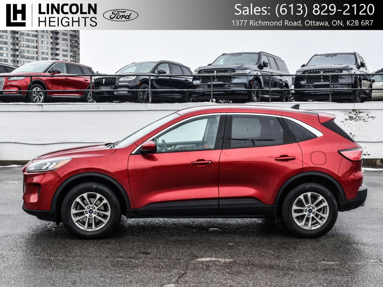 2020 Ford Escape SE AWD Photo