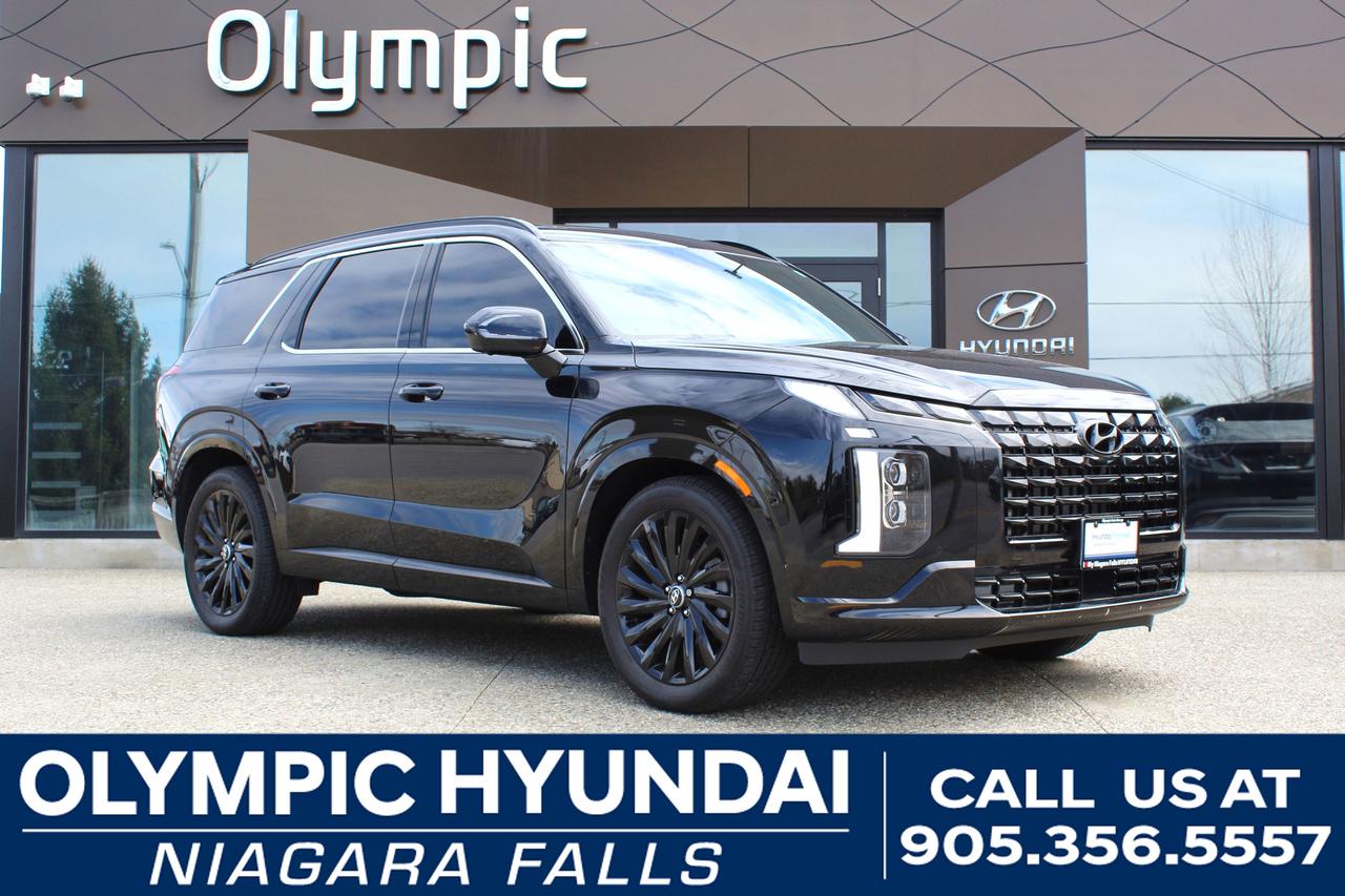 2025 Hyundai PALISADE Ultimate Calligraphy Night 7-Passenger AWD Photo