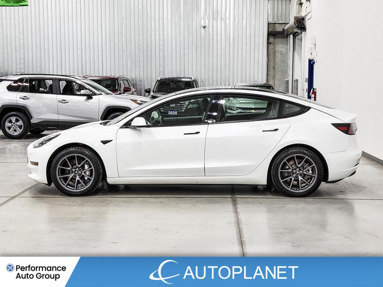 2021 Tesla Model 3 Standard Range Plus, AutoPilot, 423 Km Range (est) Photo3