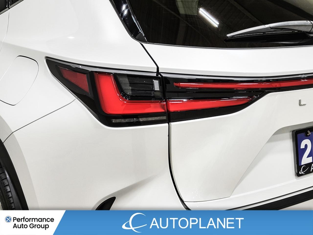 2024 Lexus NX 350h AWD, 360° Cam, Pano Roof, Lexus Safety System+ ! Photo