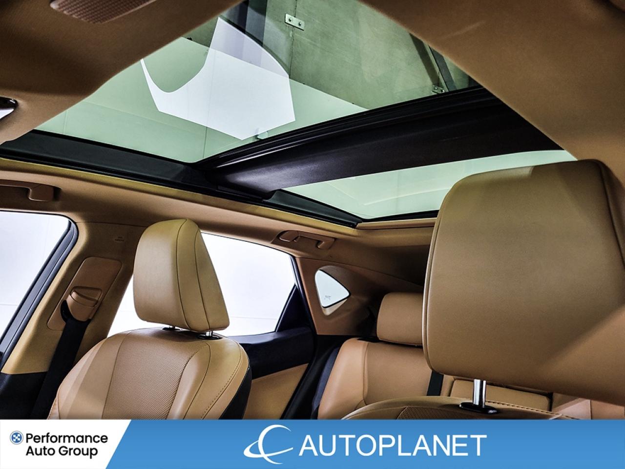 2024 Lexus NX 350h AWD, 360° Cam, Pano Roof, Lexus Safety System+ ! Photo