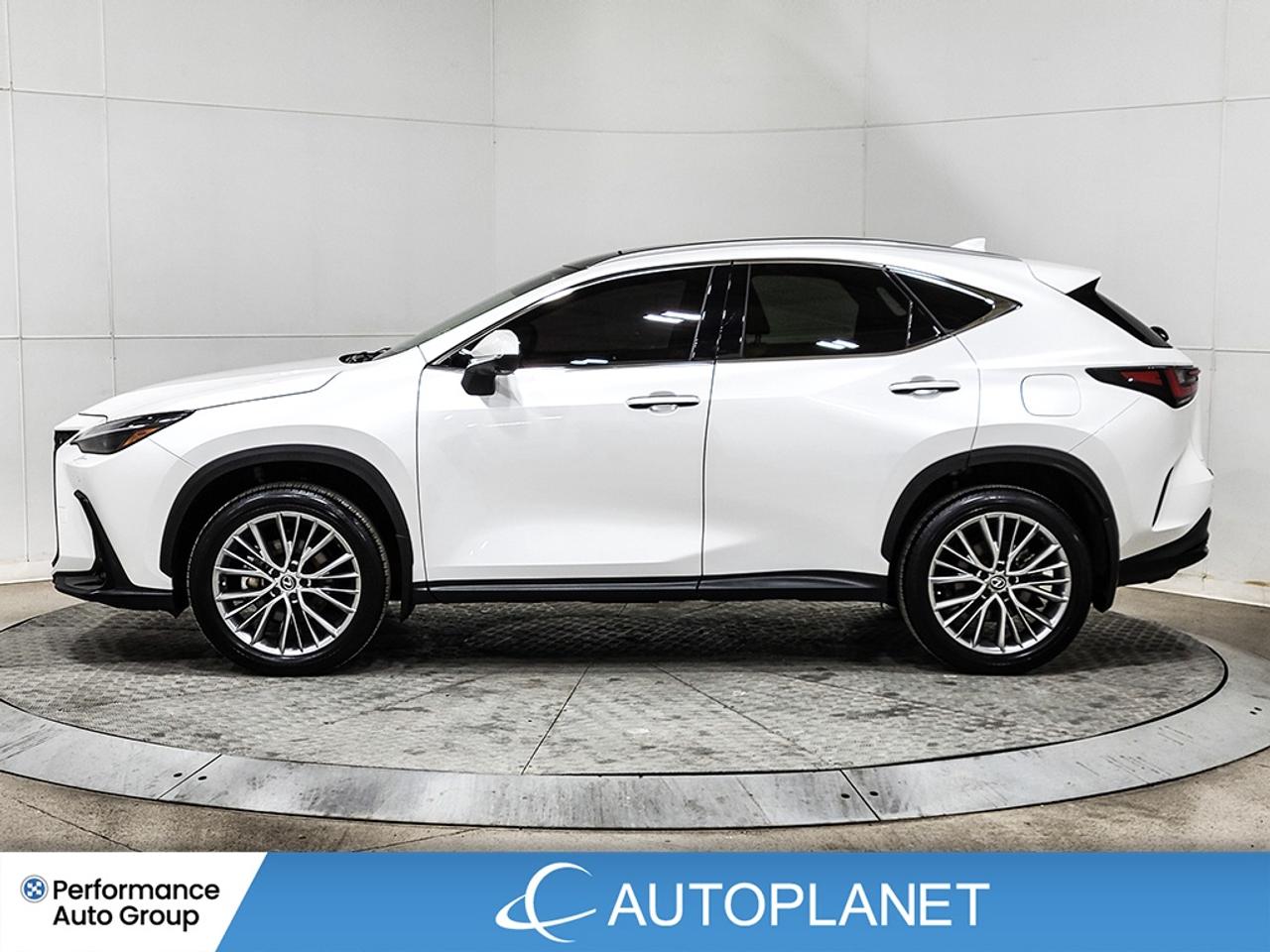 2024 Lexus NX 350h Ultra Luxury AWD, 360° Cam, Heated Seats,Pano Roof Photo3