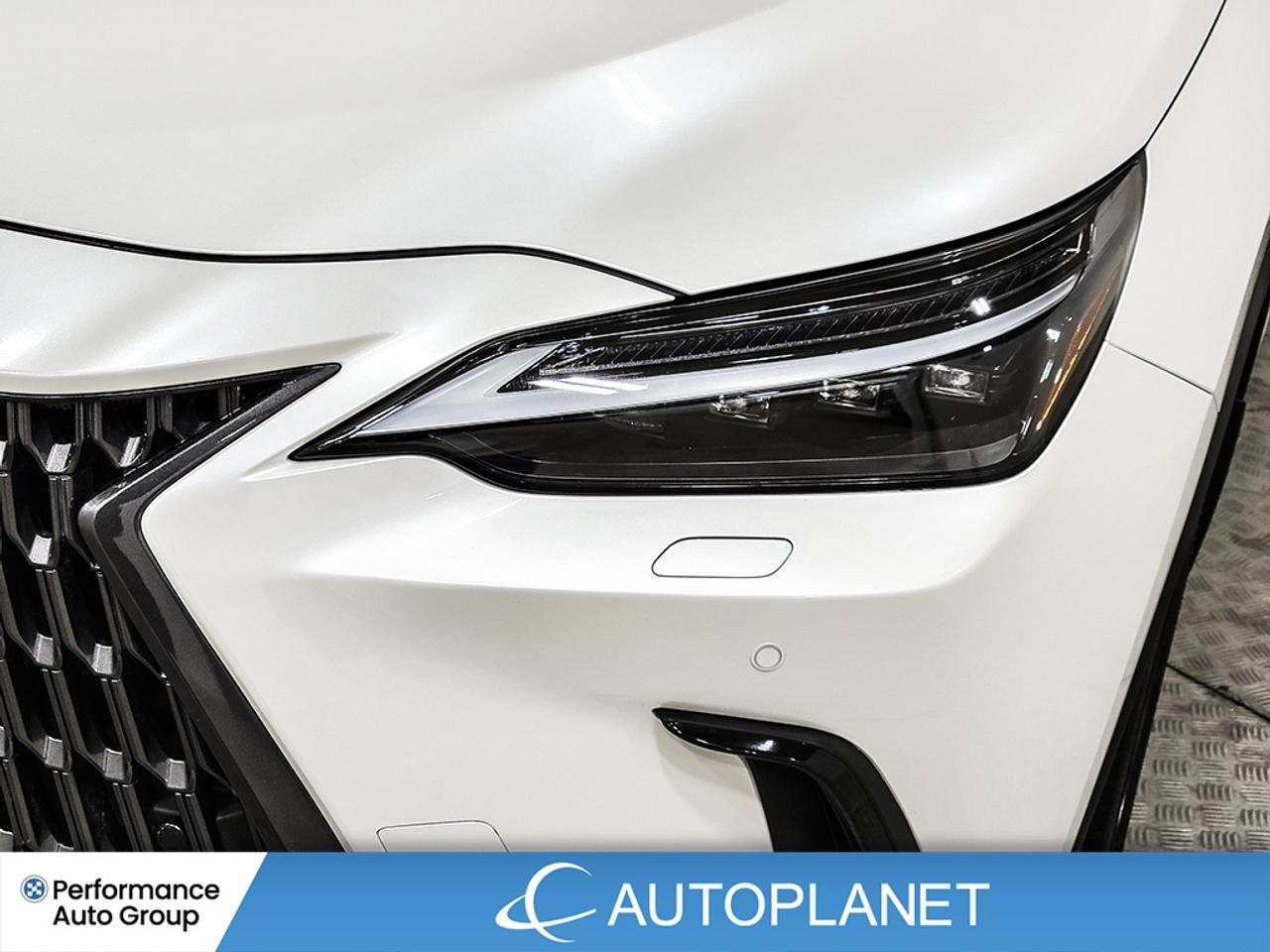 2024 Lexus NX 350h Ultra Luxury AWD, 360° Cam, Heated Seats,Pano Roof Photo