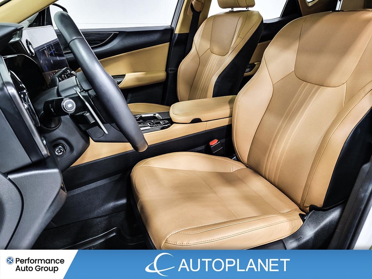 2024 Lexus NX 350h Ultra Luxury AWD, 360° Cam, Heated Seats,Pano Roof Photo