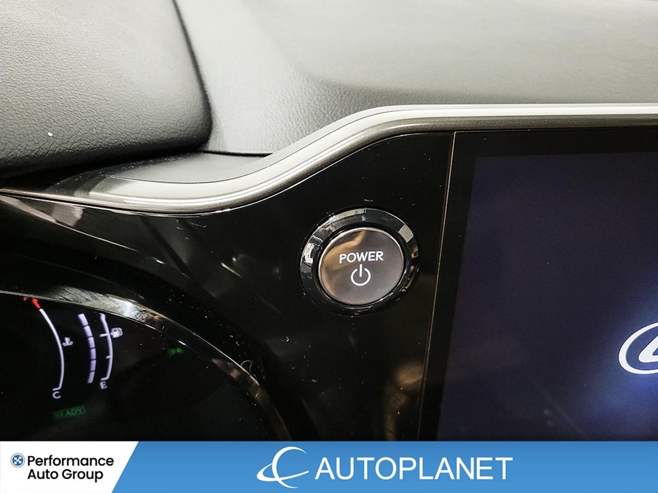 2024 Lexus NX 350h Ultra Luxury AWD, 360° Cam, Heated Seats,Pano Roof Photo