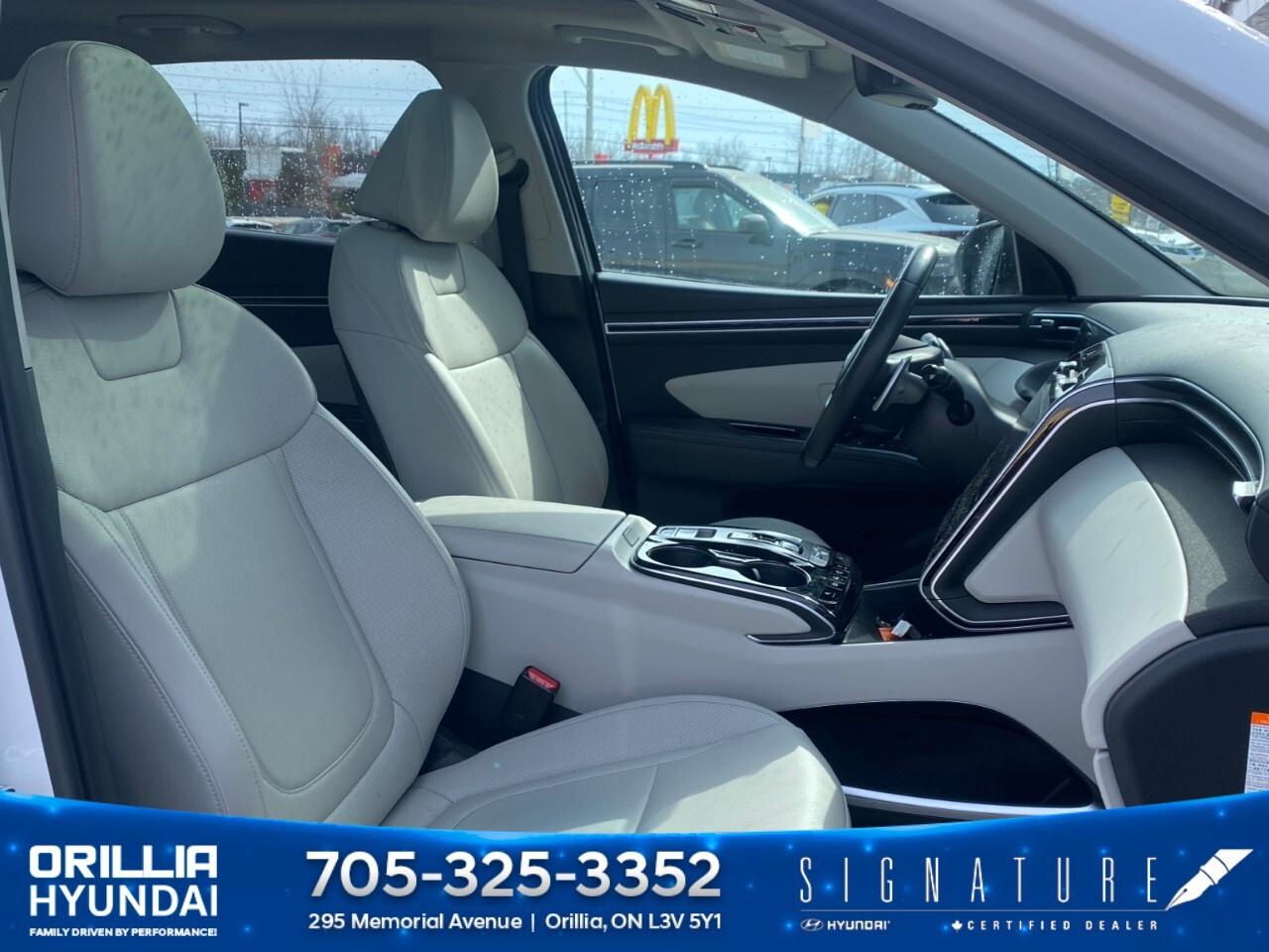 2024 Hyundai Tucson Hybrid Luxury AWD Photo