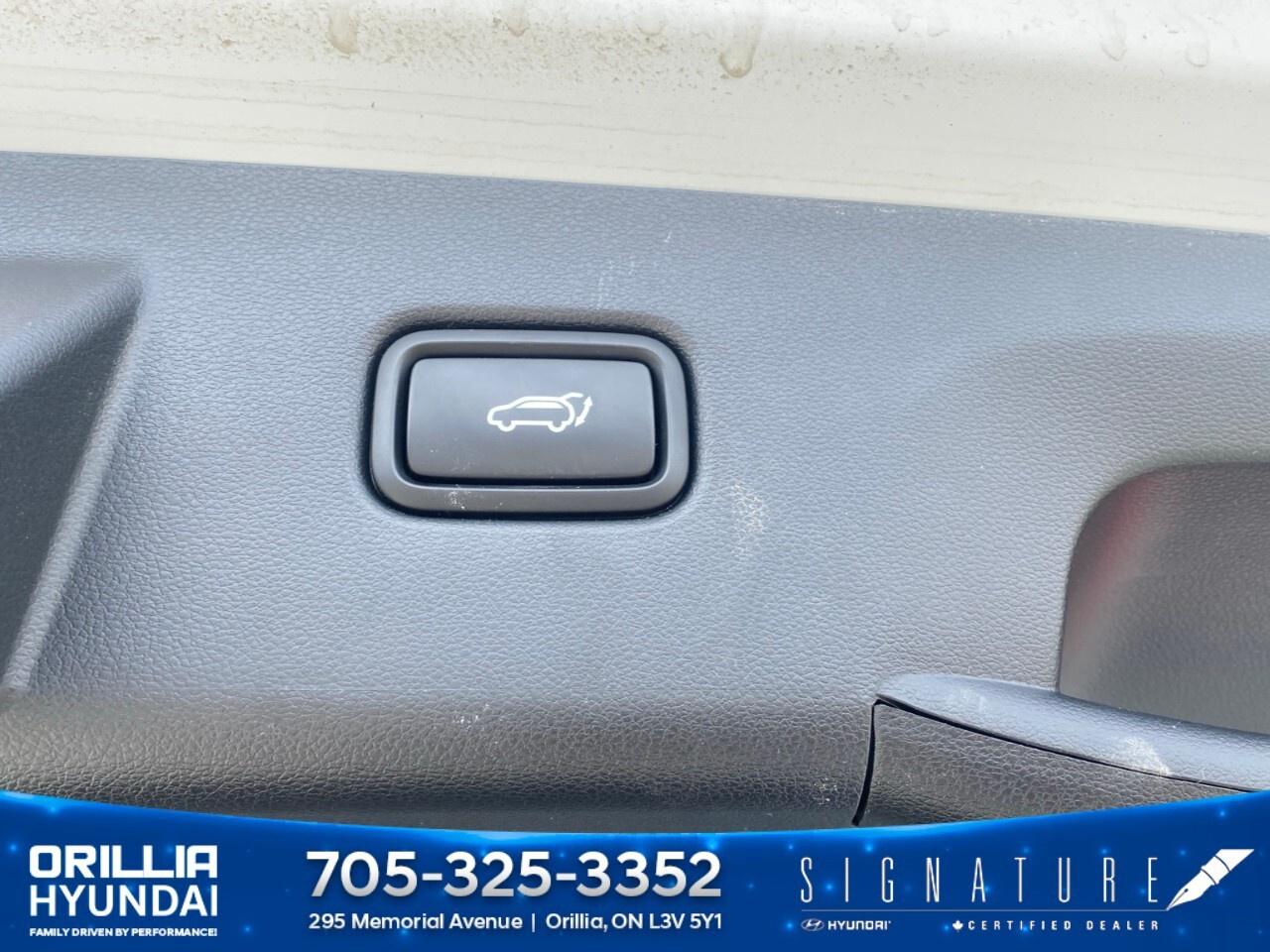 2024 Hyundai Tucson Hybrid Luxury AWD Photo