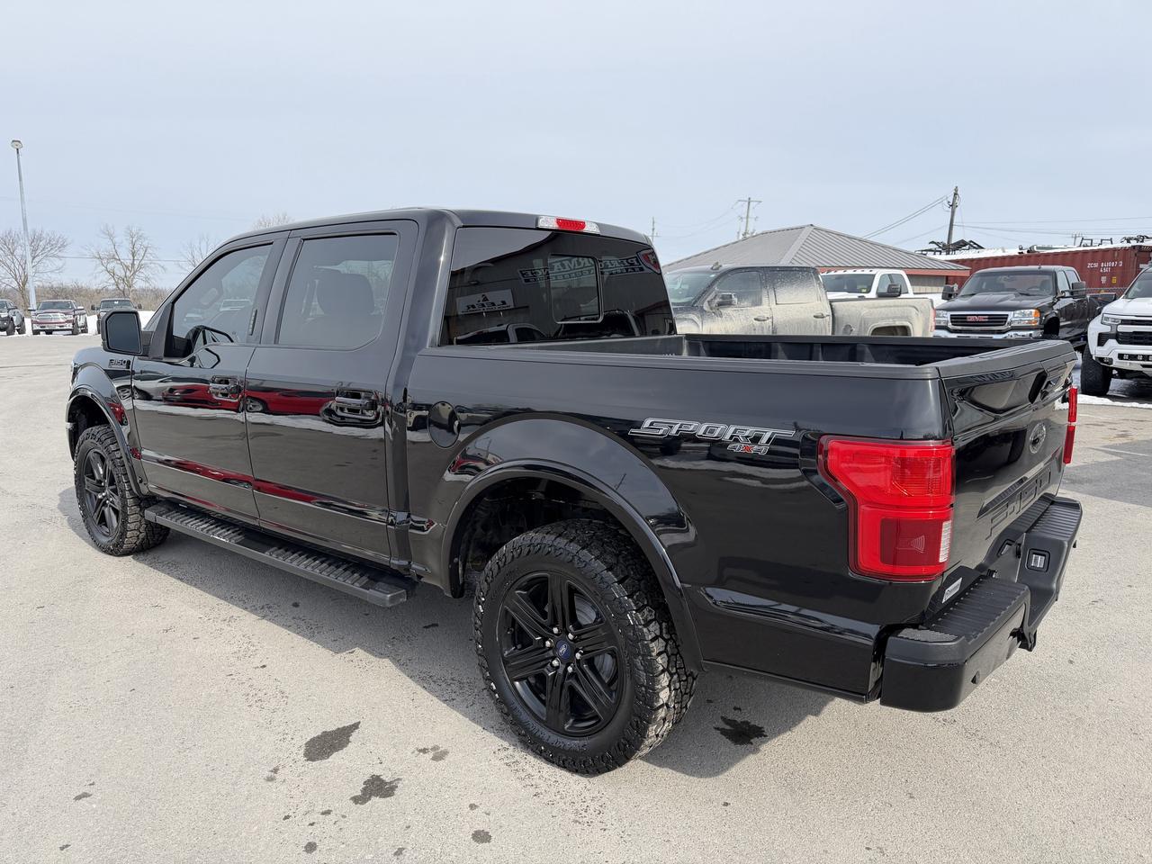 2020 Ford F-150 Lariat 4x4 Photo