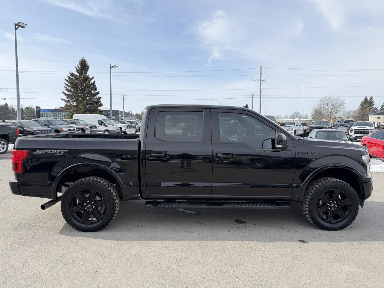 2020 Ford F-150 Lariat 4x4 Photo
