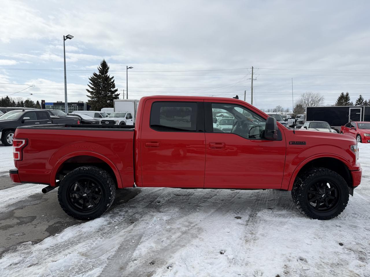 2020 Ford F-150 XLT 4WD SuperCrew 5.5' Box Photo