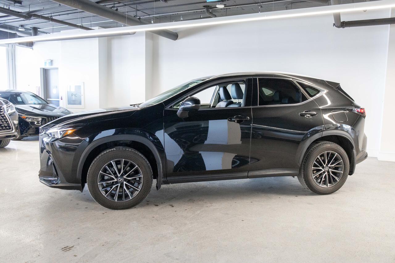 2024 Lexus NX 350h Premium Pkg Lexus Certified Welcome Trades Photo