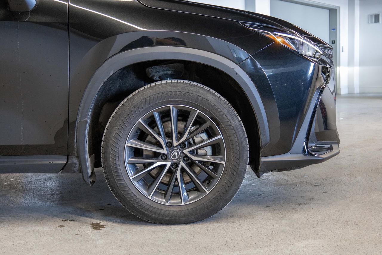 2024 Lexus NX 350h Premium Pkg Lexus Certified Welcome Trades Photo