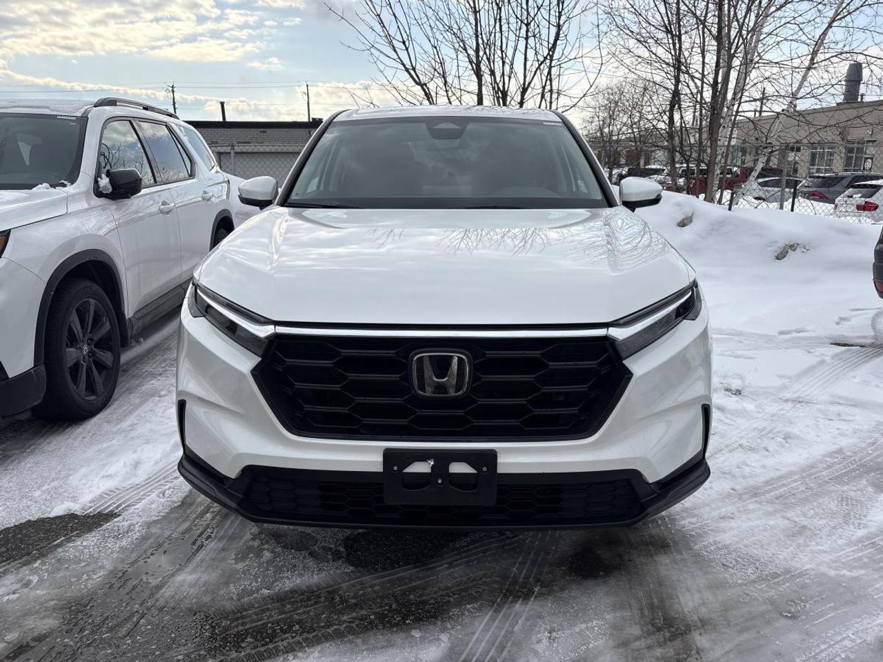 2025 Honda CR-V LX Honda Certified With 7YRS/160K Warranty Photo