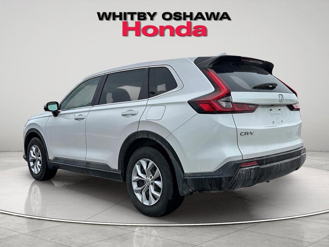 2024 Honda CR-V LX Photo