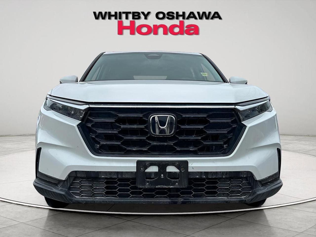 2024 Honda CR-V LX Photo