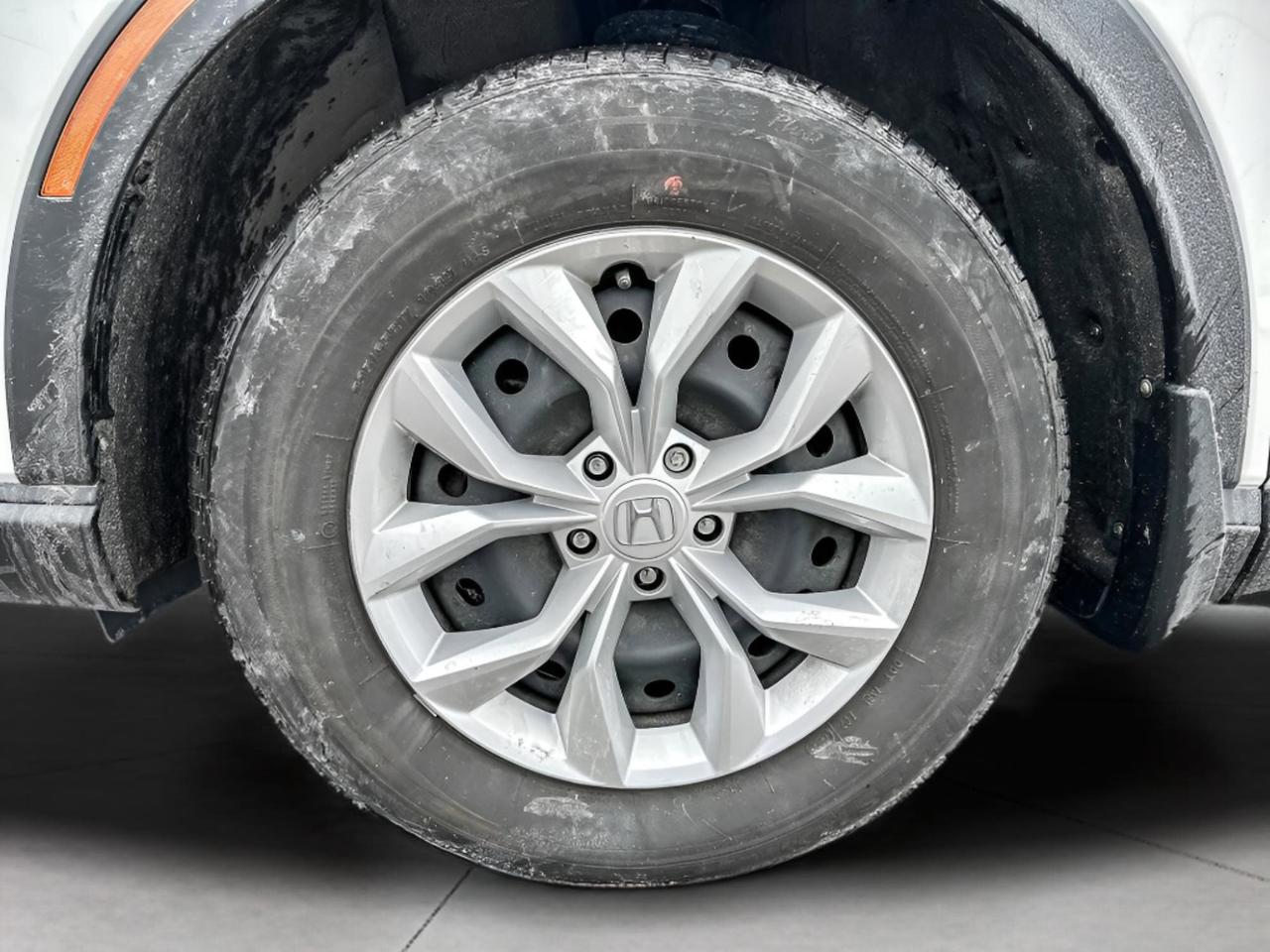 2024 Honda CR-V LX Photo