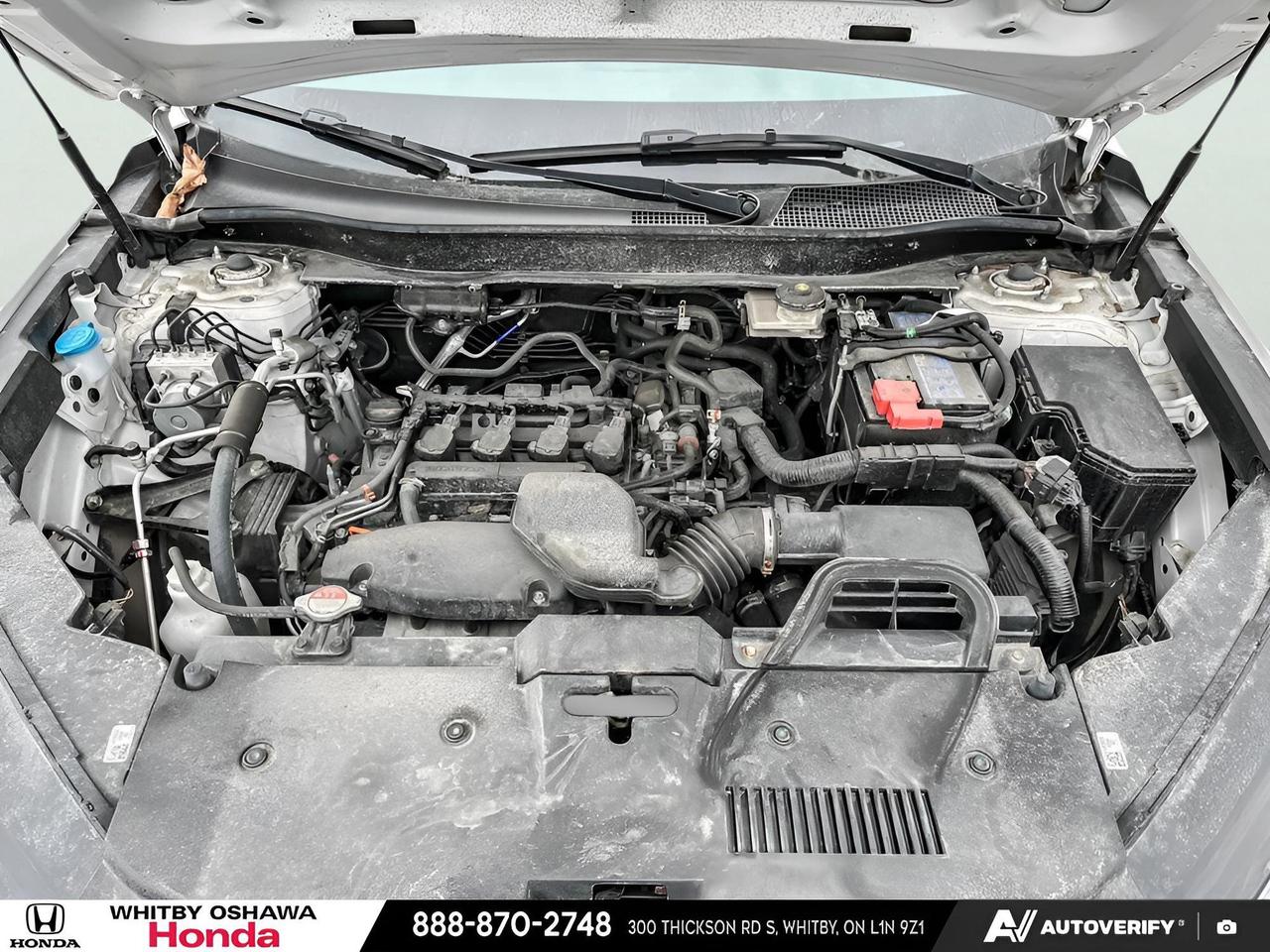 2024 Honda CR-V LX Photo