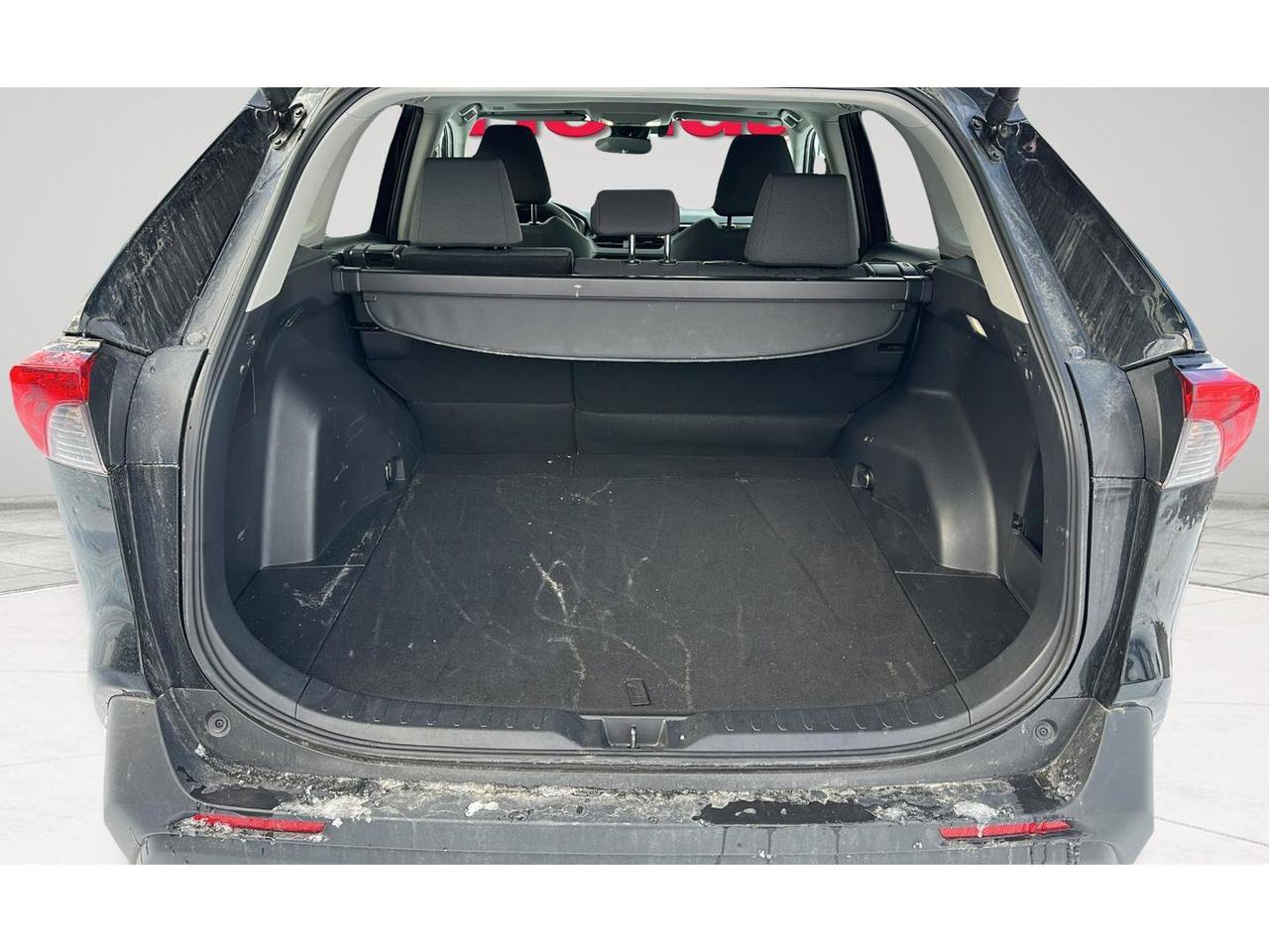 2025 Toyota RAV4 XLE Photo