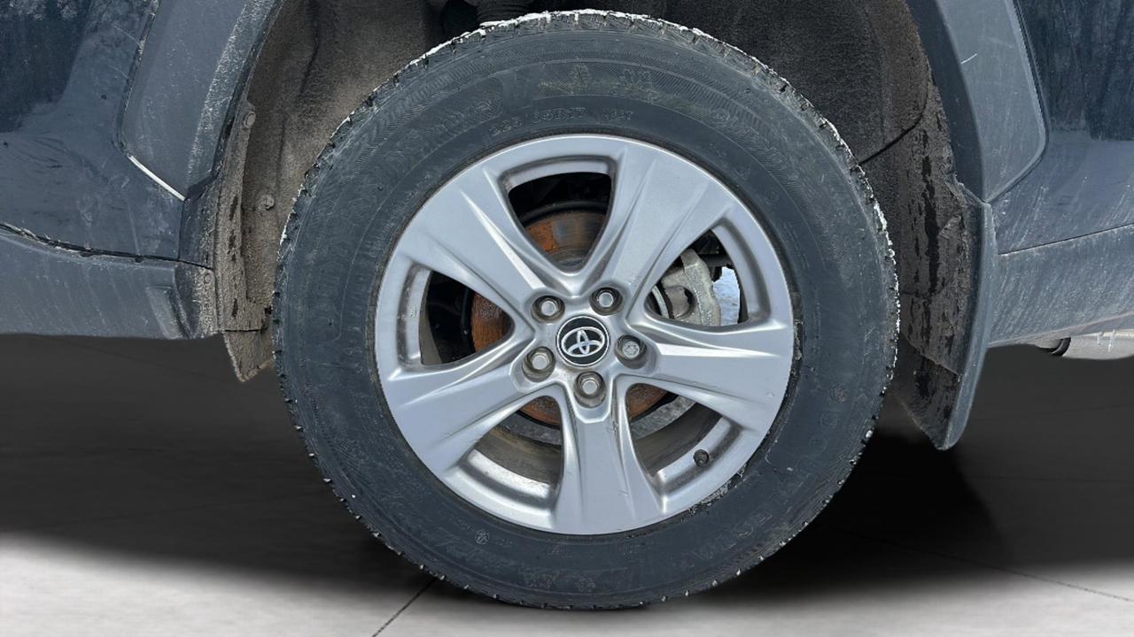 2025 Toyota RAV4 XLE Photo