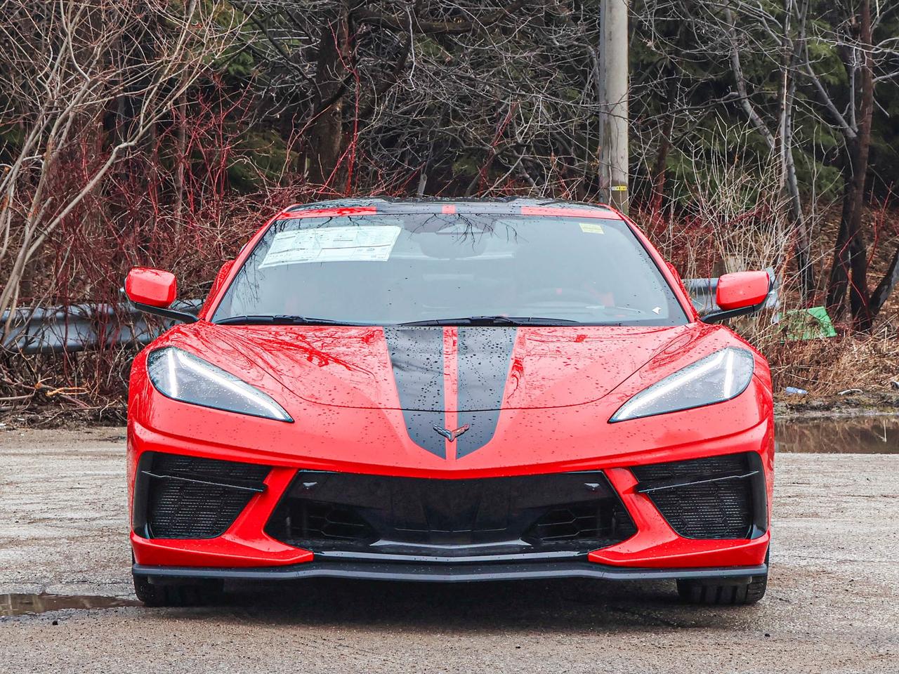 2026 Chevrolet Corvette 2LT Photo